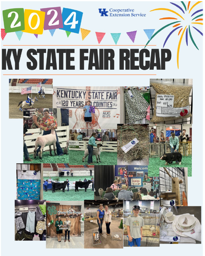 State Fair 2024 Recap