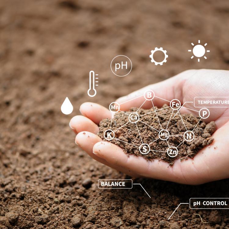  Hand holding soil near the ground with overlay of nutrient element symbols